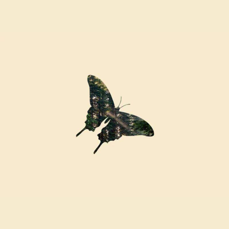 Schmetterling Wald