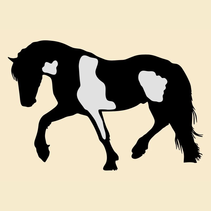 Tinker, Pinto, Barock Pinto, Schecke Silhouette