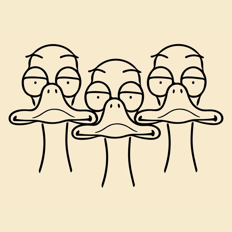 Three funny ducks