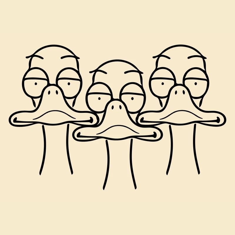 Three funny ducks