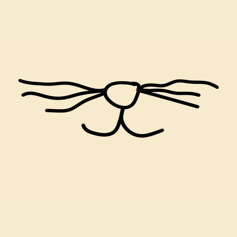 Katzen Nase