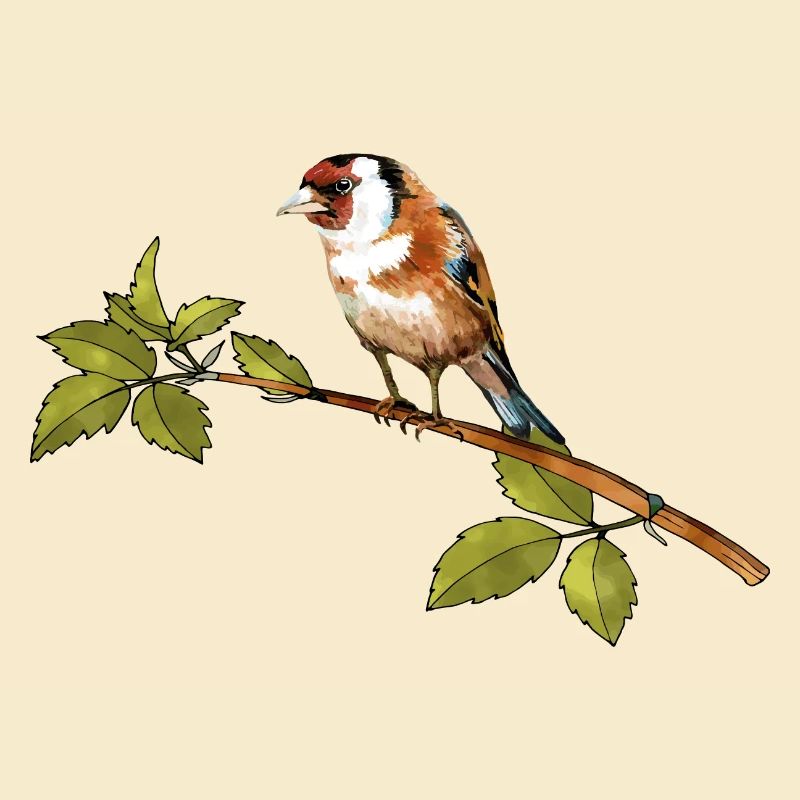 Vogel