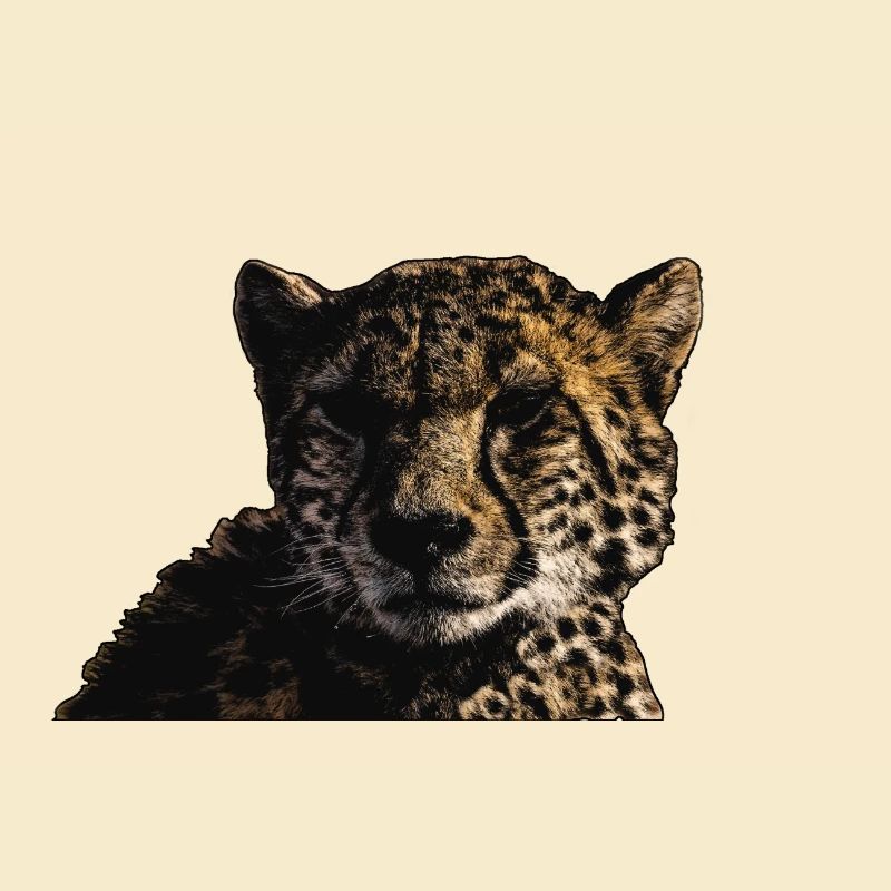 GEPARD