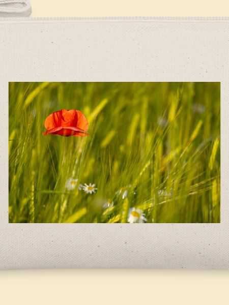 Mohnblume im Kornfeld