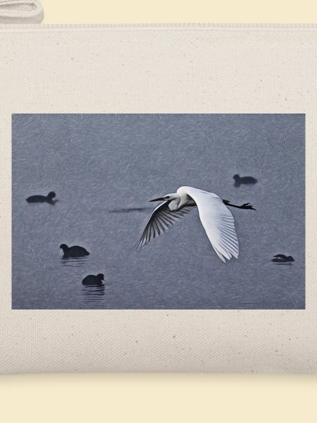 Silberreiher im Flug
