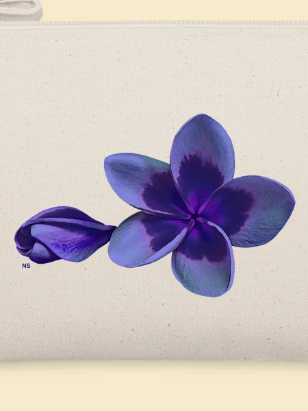 Nacht Plumeria Blume