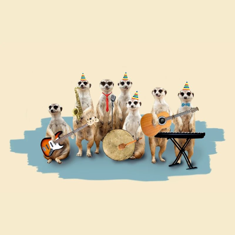 Erdmännchen