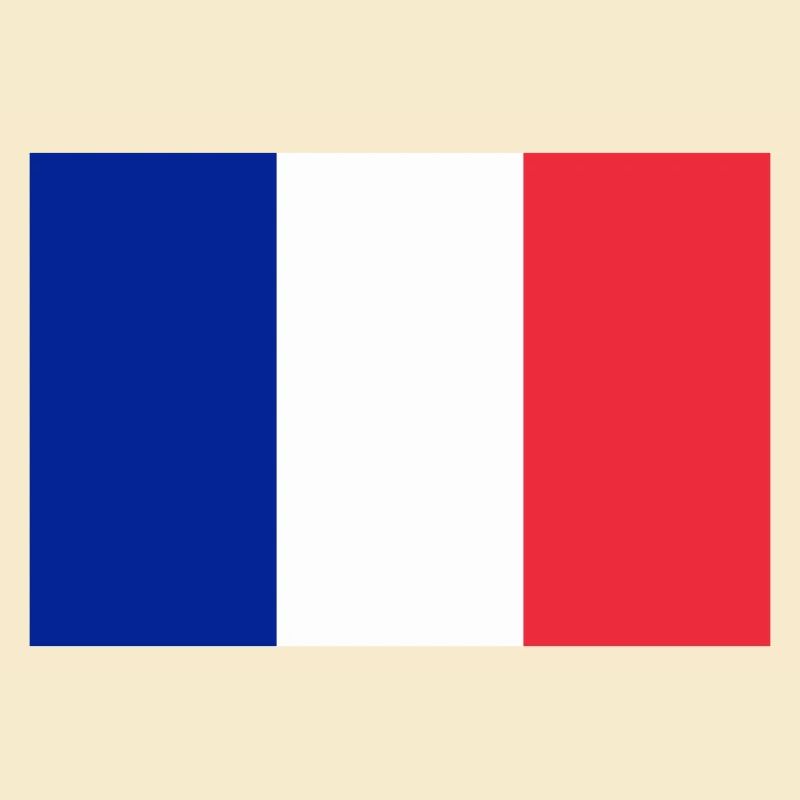 Drapeau français / French flag