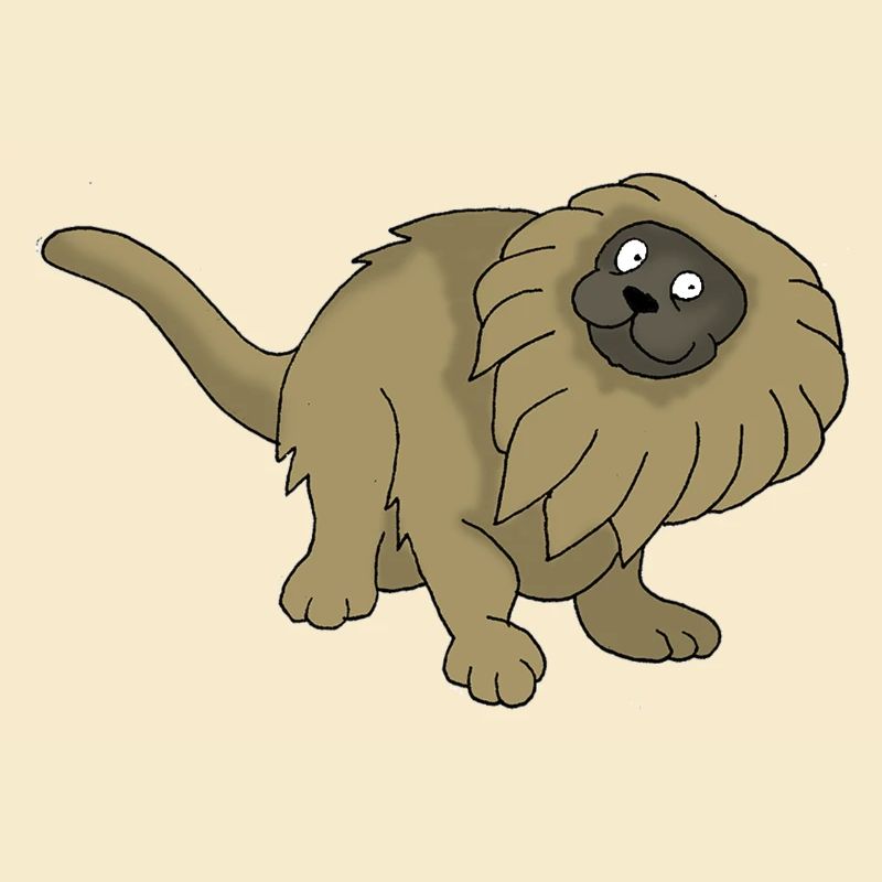 Äffchen