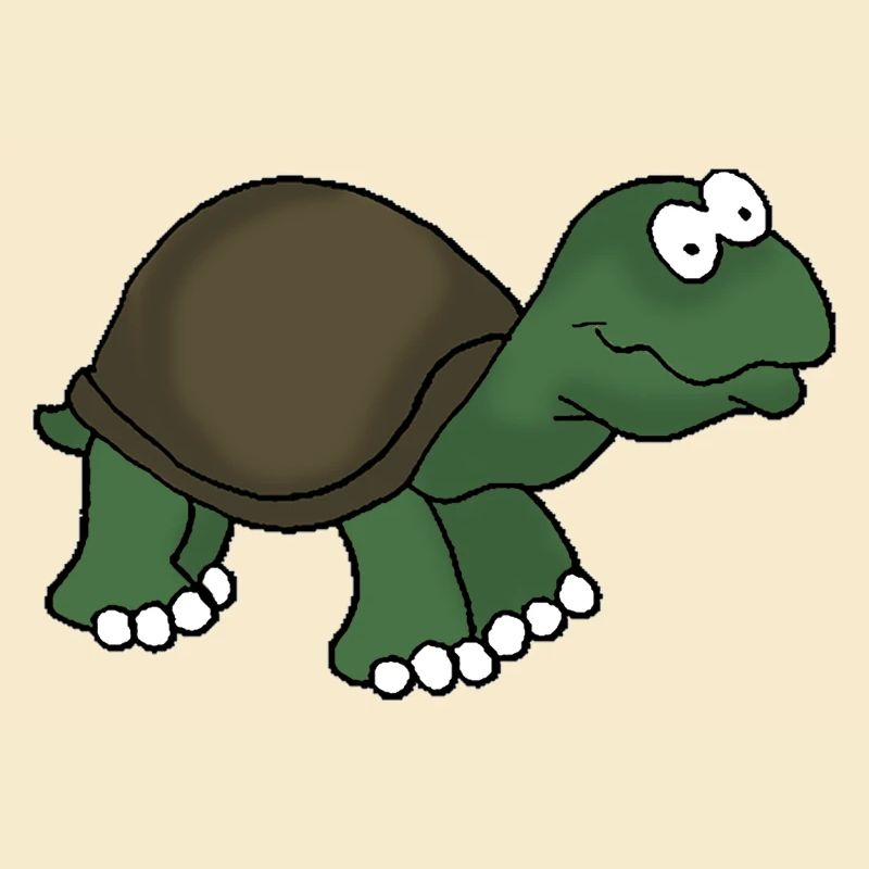 Schildkröte 1