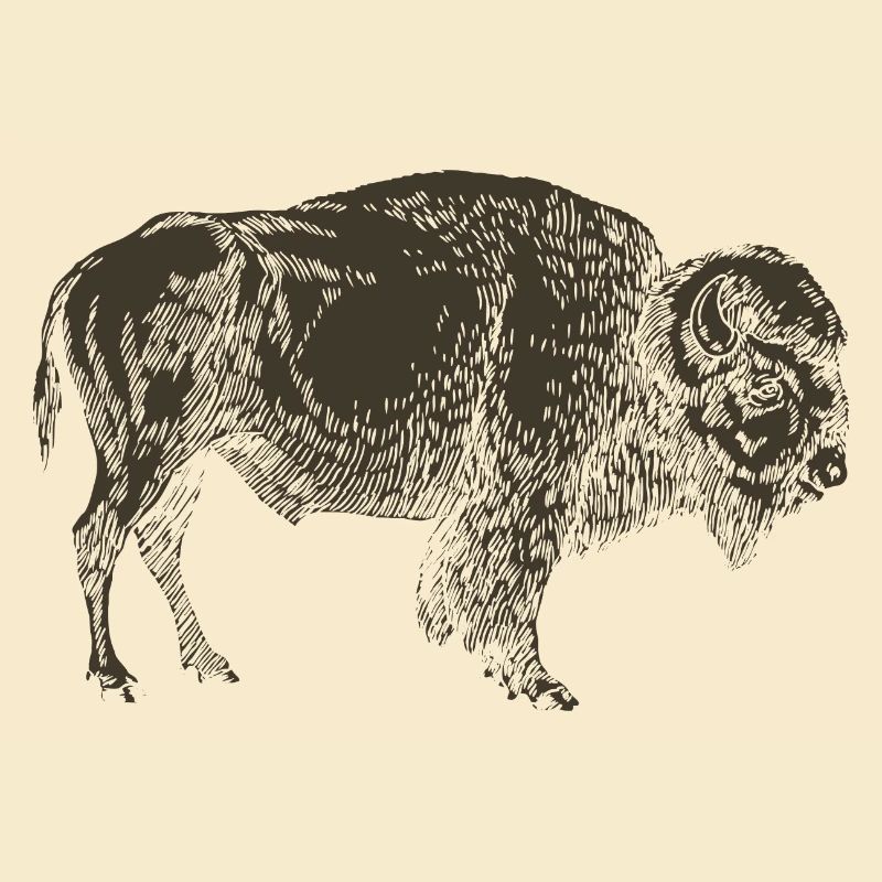Wildtiere