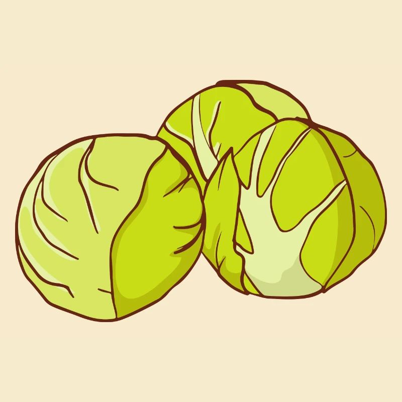 Brussels sprouts Brussels cabbage sprouts cabbage sprouts