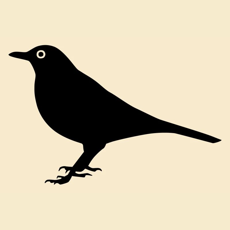 Vogel Amsel