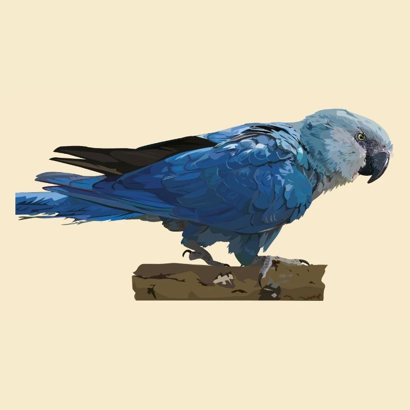 Spix's Macaw