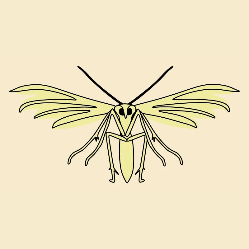 Feather moth