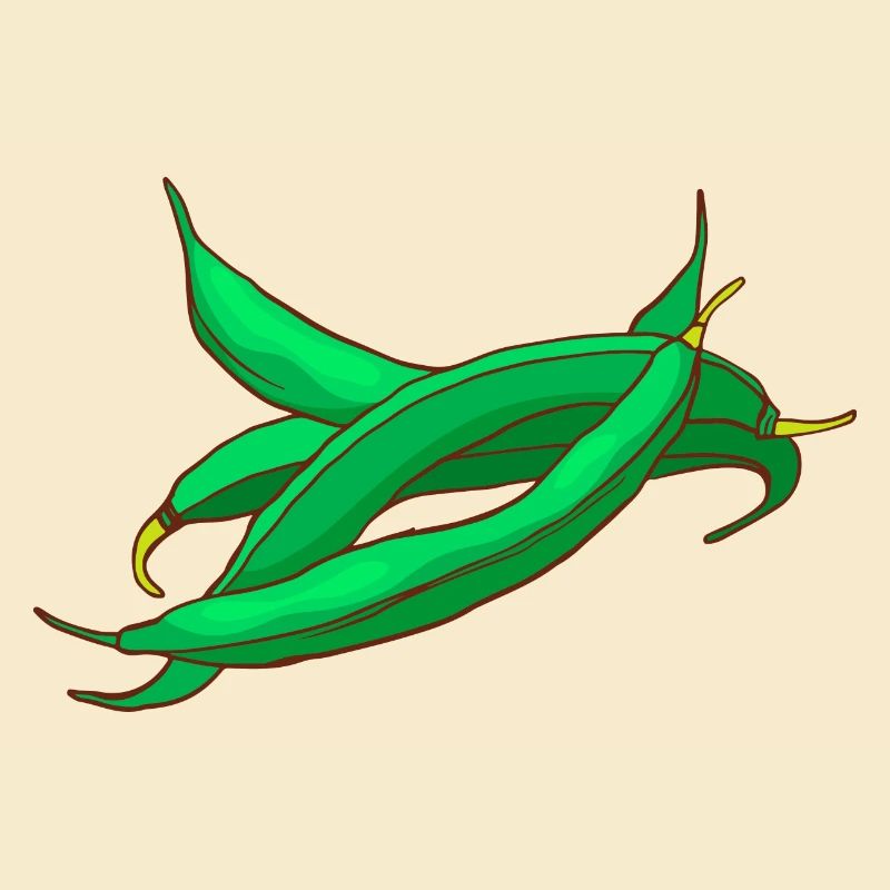 Haricots cire haricots haricots
