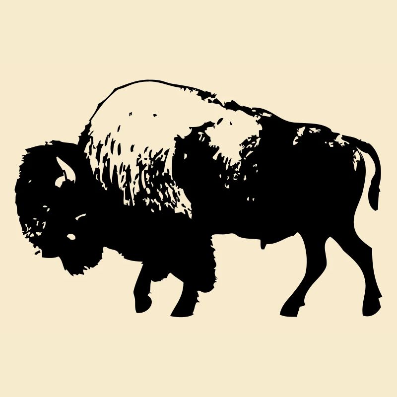 Bison - Wisent - Büffel - Buffalo