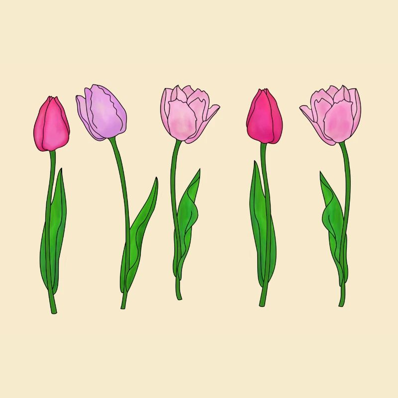 Pink Tulips, Spring