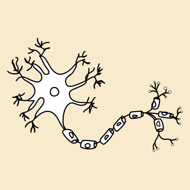Neuron