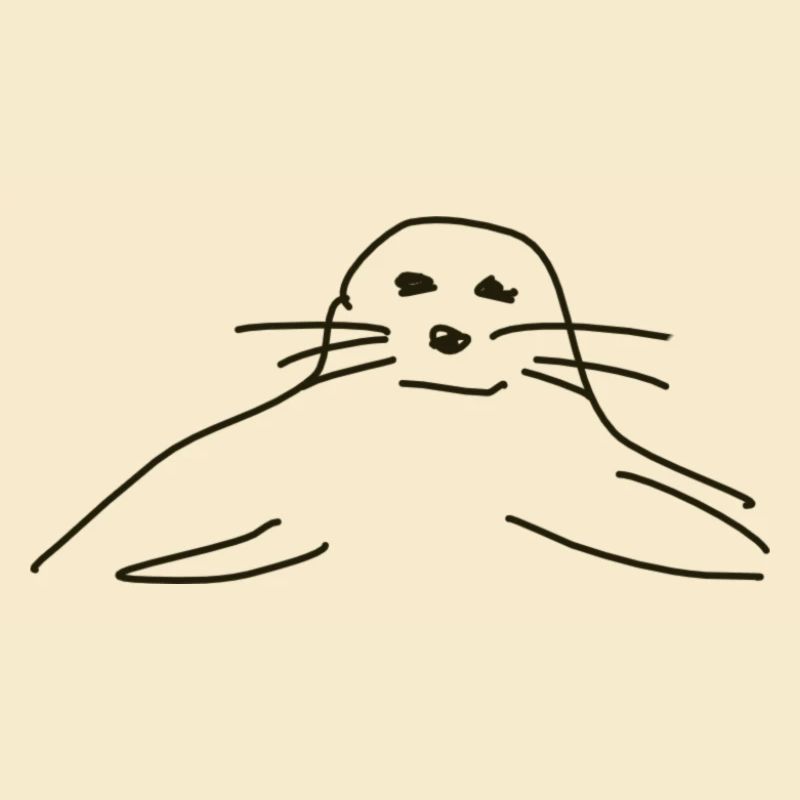 phoques phoques phoques animaux