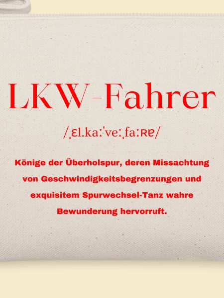 LKW Fahrer