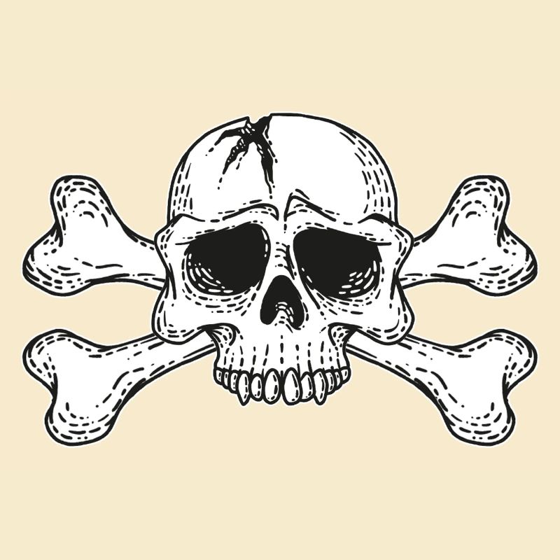 skull with bones