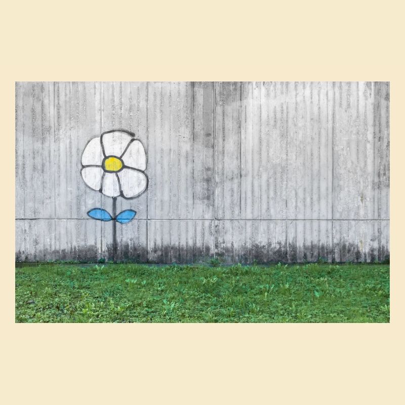 Graffiti eines Gänseblümchens