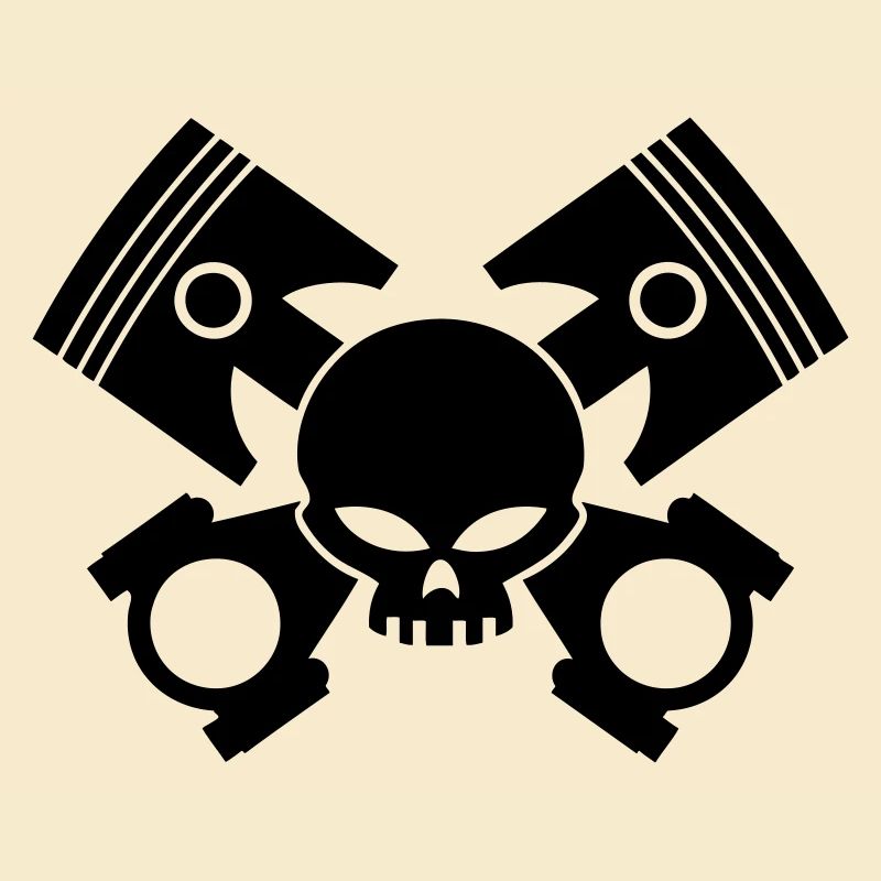 pistons - rods and skull