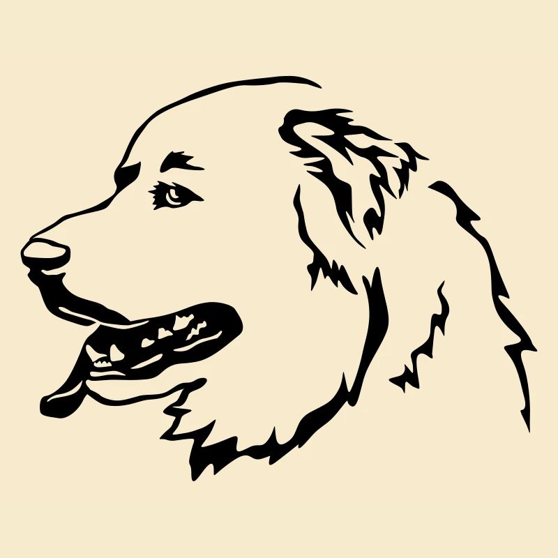 Pyrenäenberghund Kopf
