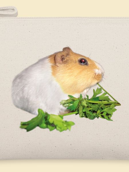 Meerschweinchen Rossi 1