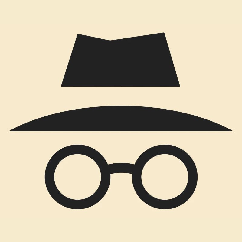 Mode navigation privée.