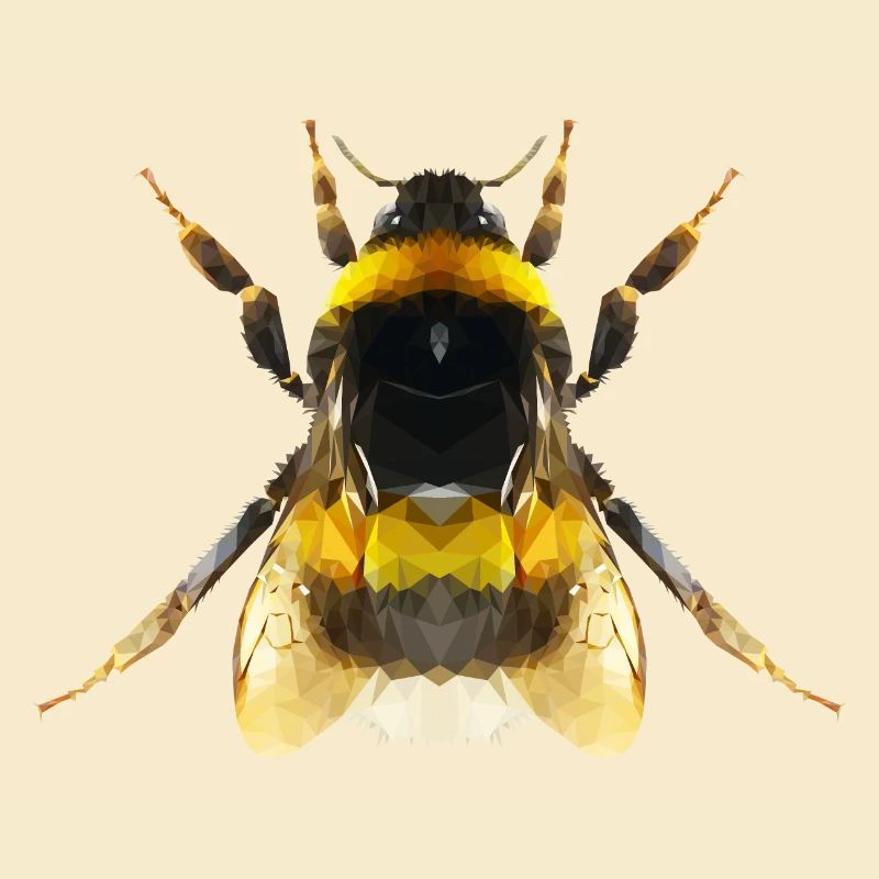 Hummel