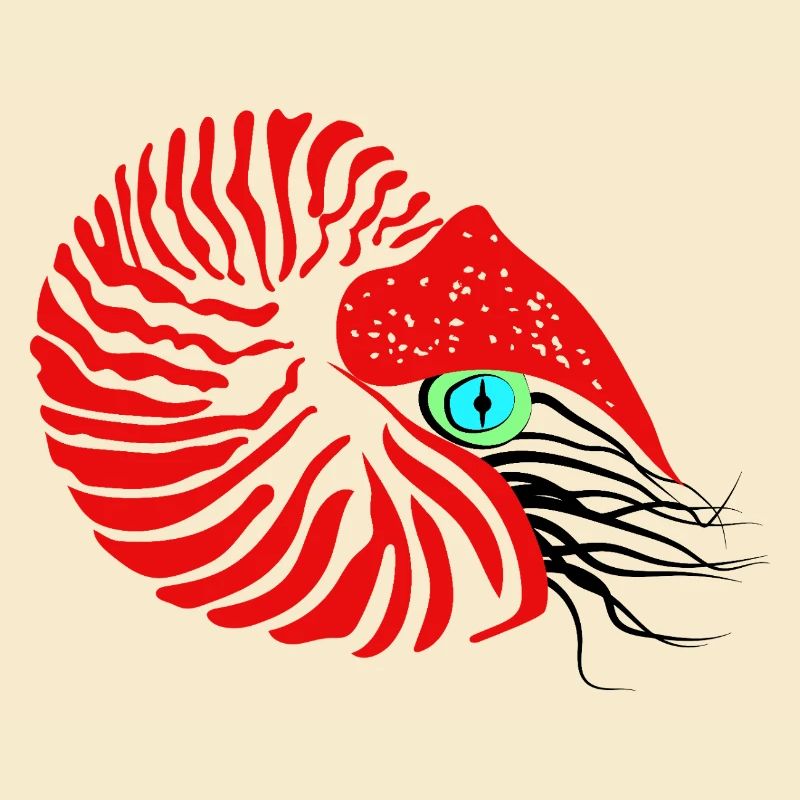 Perlboot, Ammonit, Kopffüßer, Nautilus