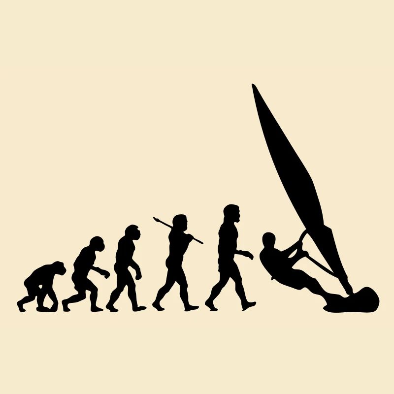 ws01 windsurf evolution