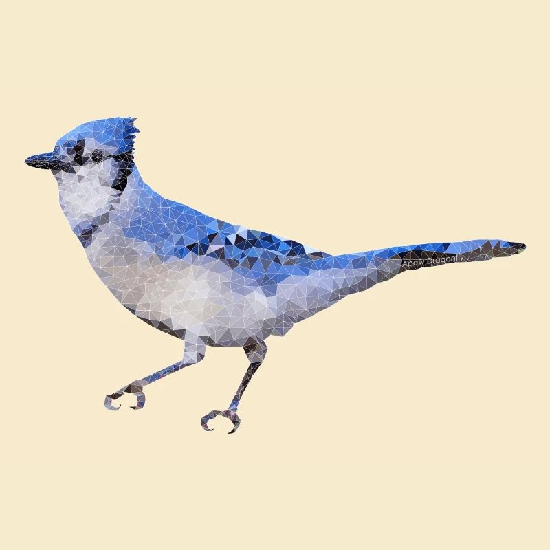 Vogel ~ der blaue Eichelhäher