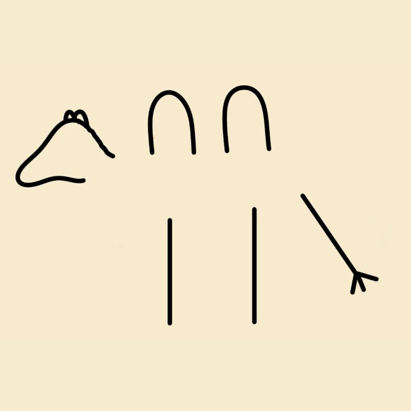Kamel
