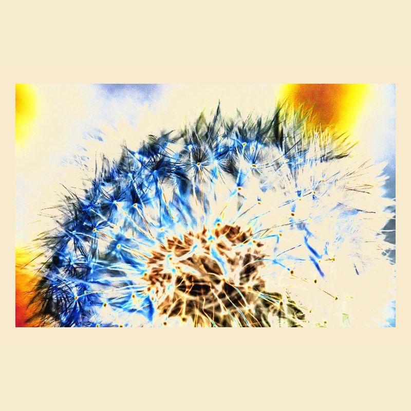 Pusteblume, A731306