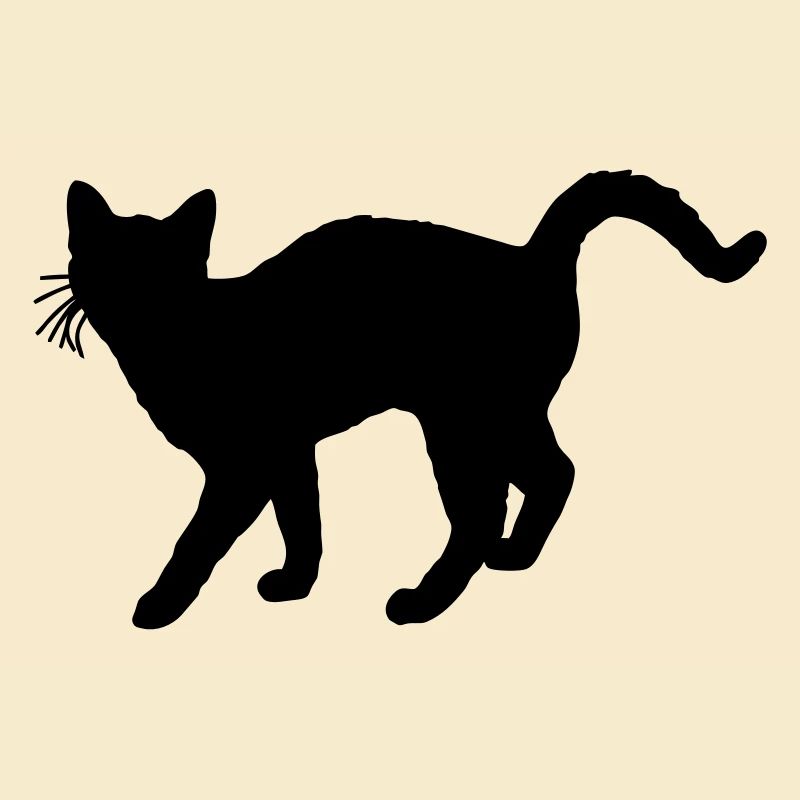katze