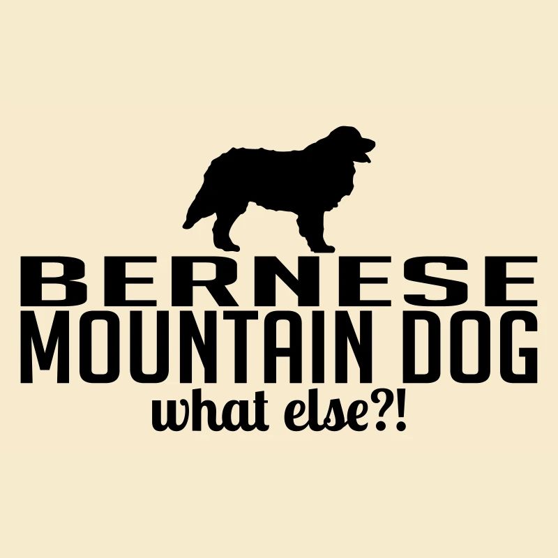 BOUVIER BERNOIS whatelse
