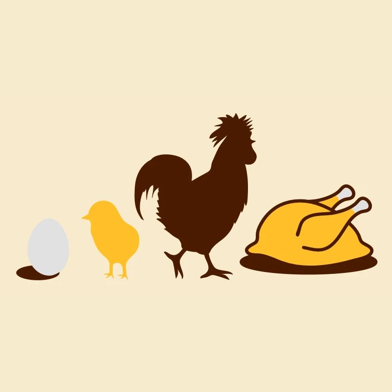 Egg,chick, rooster and chicken poultry Evolution