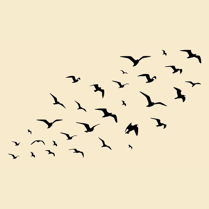 birds