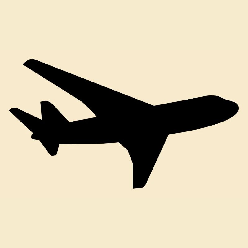 Flugzeug
