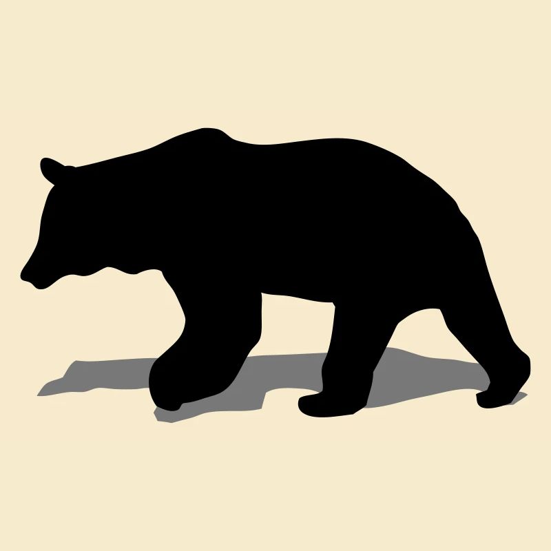 bear - brown bear - hunting - hunter