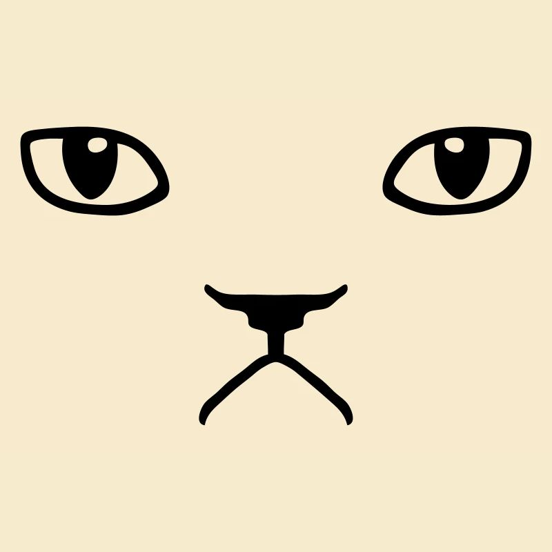 chat pas content grumpy kitty cat