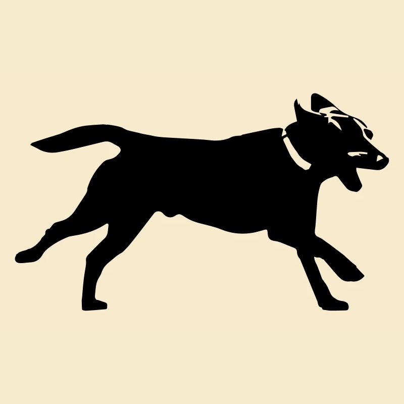 Hund