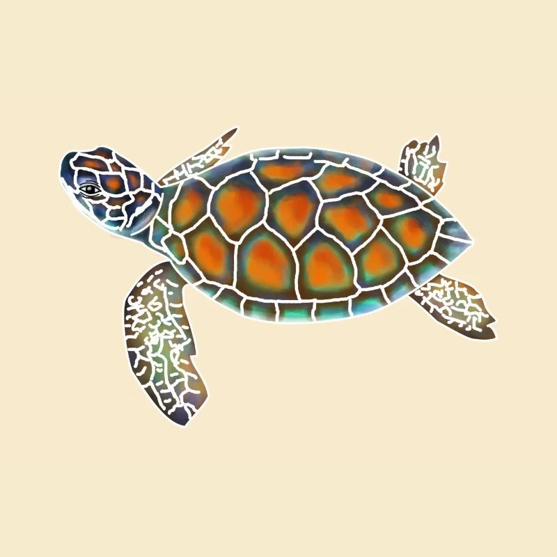 tortue d'eau
