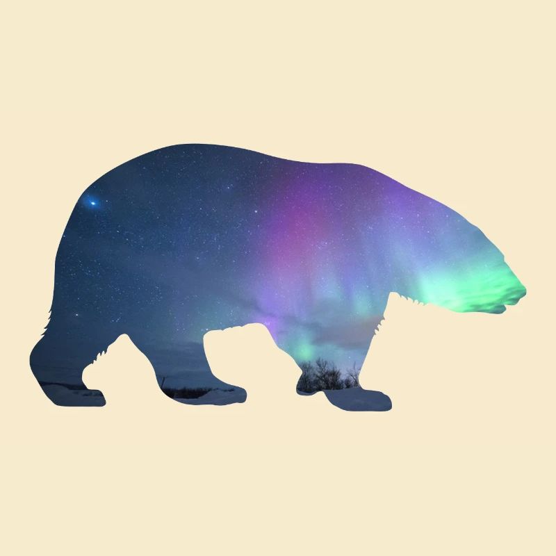 Eisbär Nordlichter Design