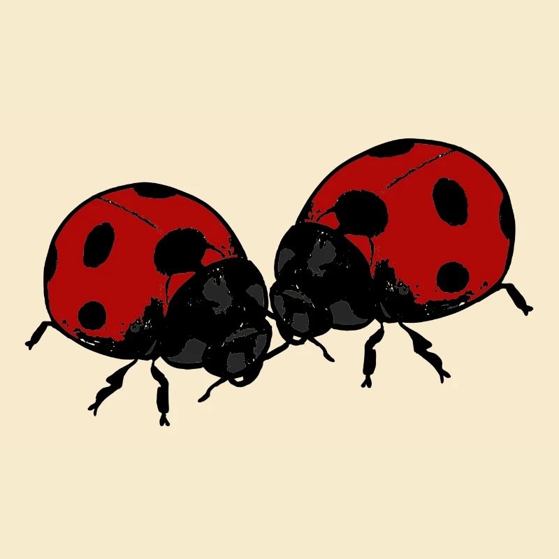 Marienkäfer Ladybug Lady Bug