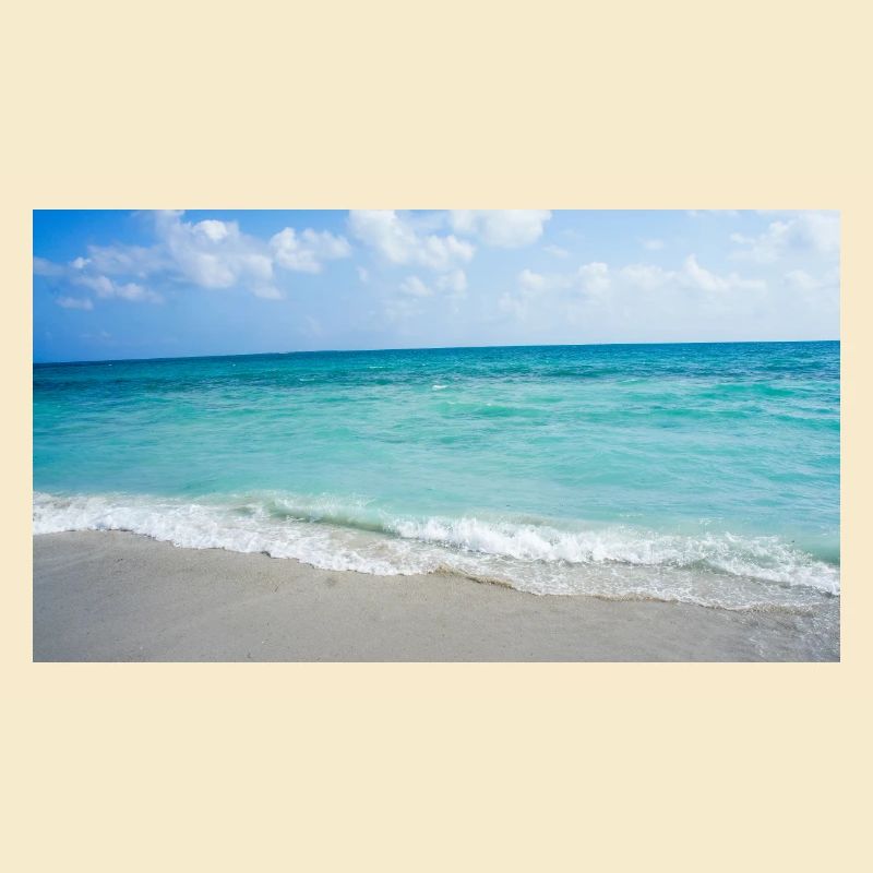 Meer
