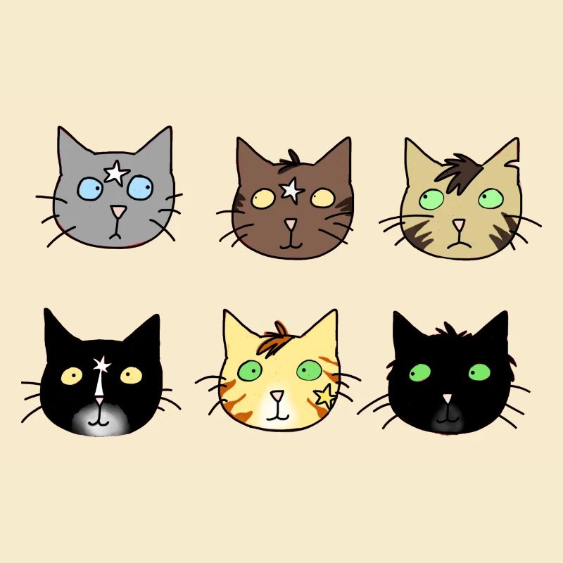 cats, chats, comme Warrior